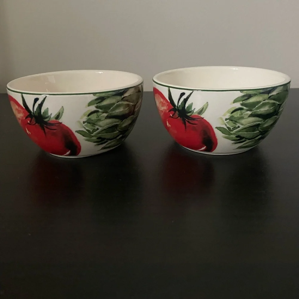 ⚡️SALE Pier 1 Imports Set of 2 Ironstone Fresco Small Bowls